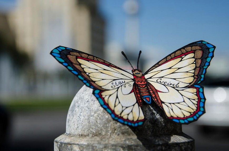 butterfly-effect-Andreas-Preis