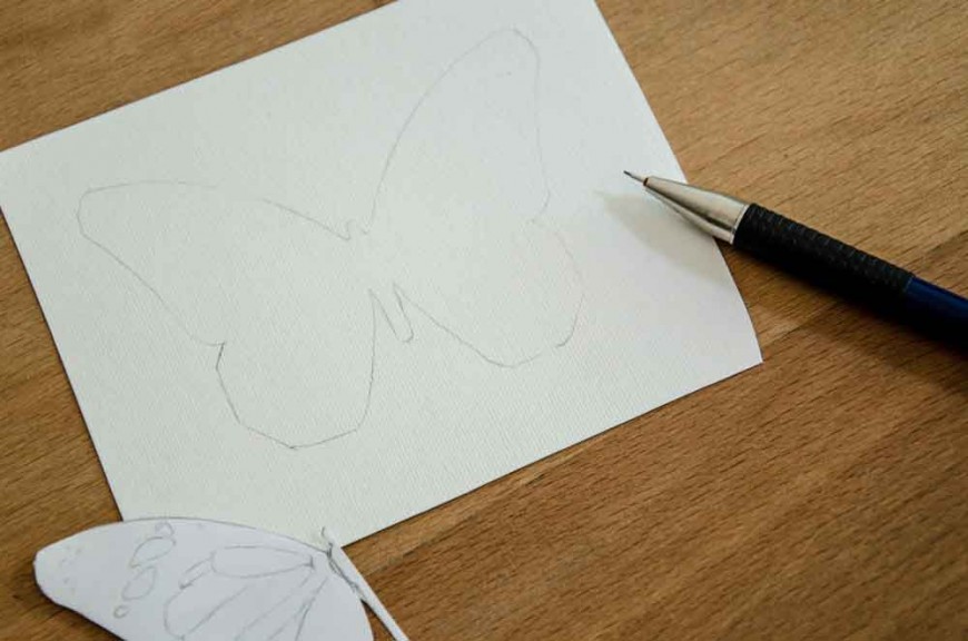butterfly-effect-Andreas-Preis-bts