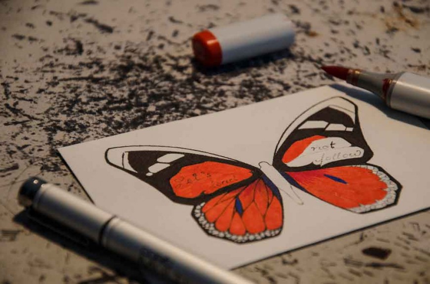 butterfly-effect-Andreas-Preis-bts5
