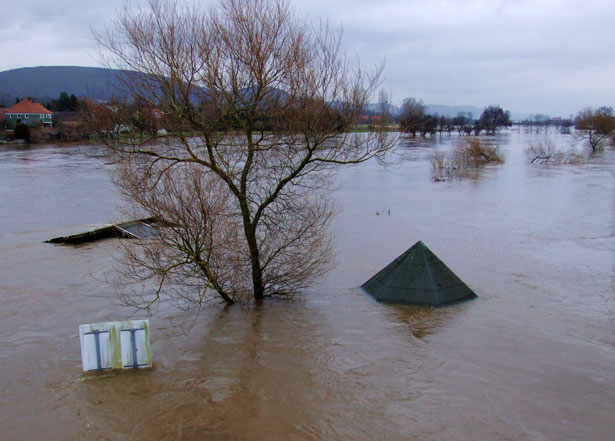 Natural Disaster