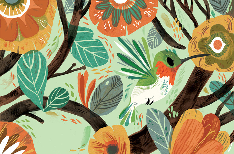 PageImage-527247-4917355-hummingbirdcard