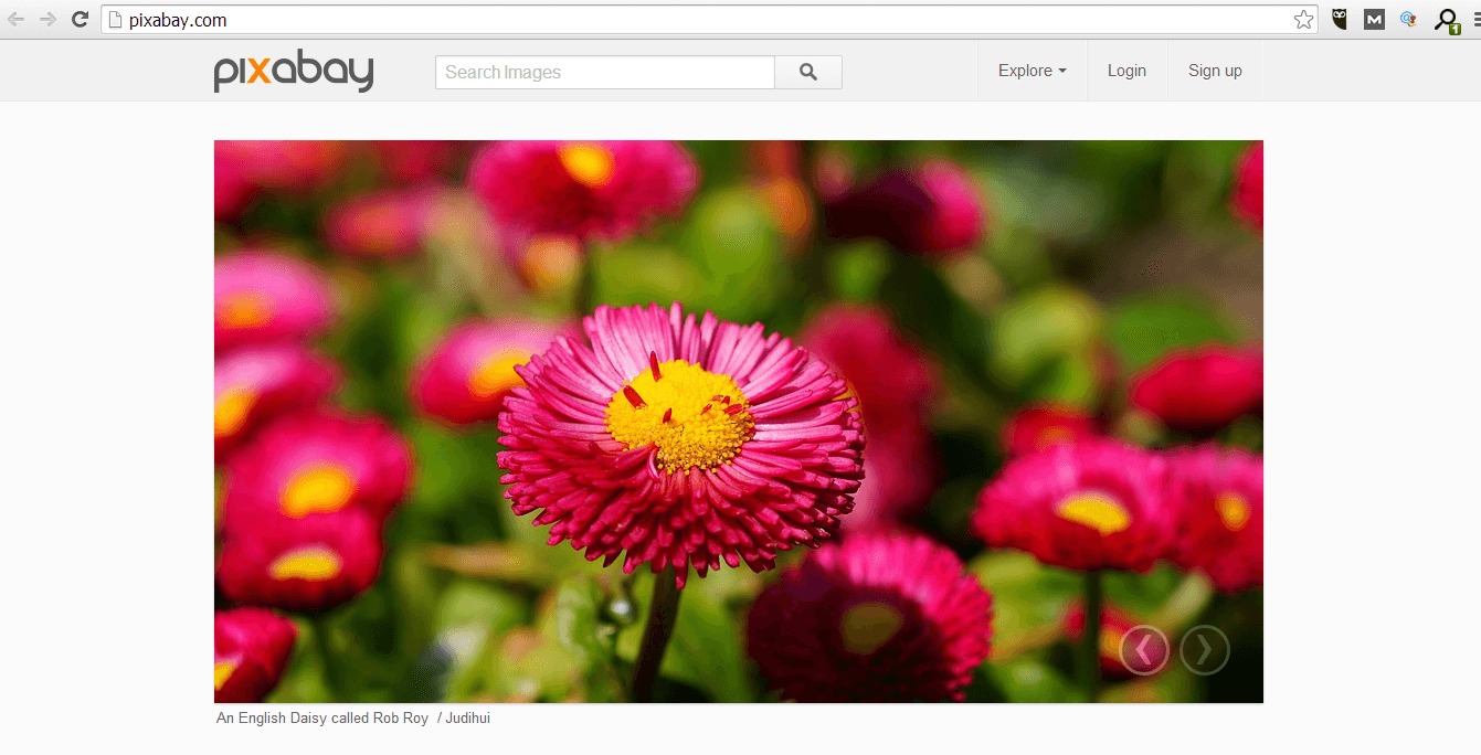 Pixabay