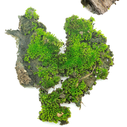 9_use this image(httpwww.shutterstock.compic.mhtmlid=166446716&src=id)