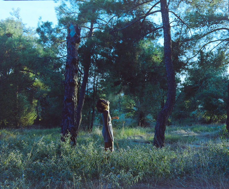 Wendy-in-the-Forest-by-Nikos-Kostopoulos
