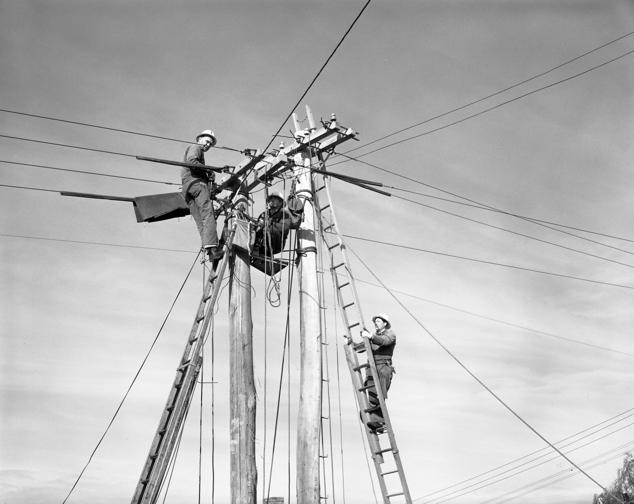 Energy supplier