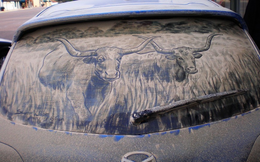 longhorns