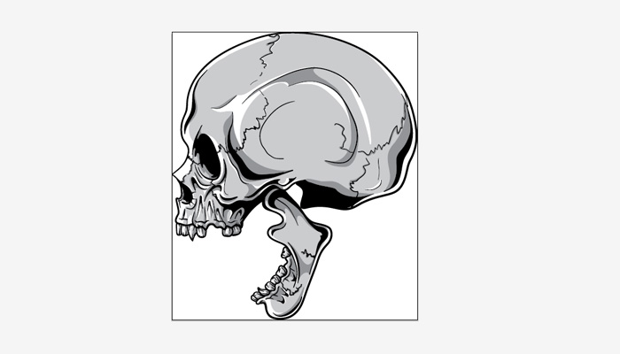 2 - open vector and place