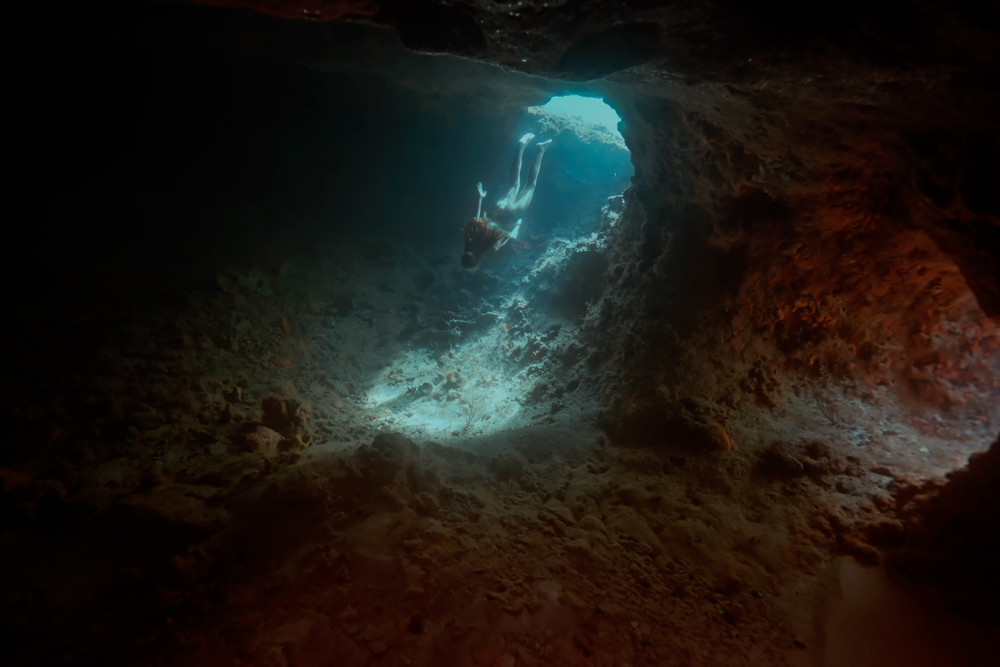 Elena Kalis Underwater Photography