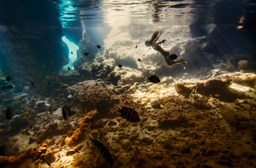 Elena Kalis Underwater Photography