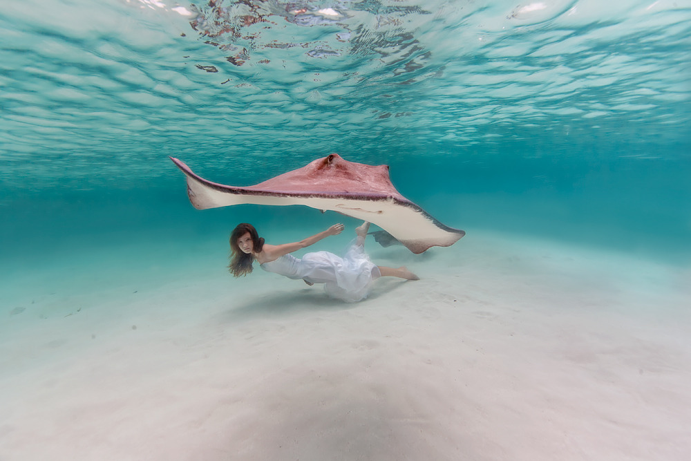 Elena Kalis Underwater Photography Stingray and Girl