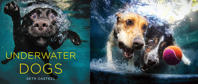 Photography-Books-Underwater-Dogs-001