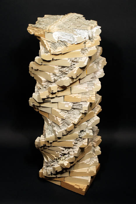 book-art-carving-sculpture-brian-dettmer-29