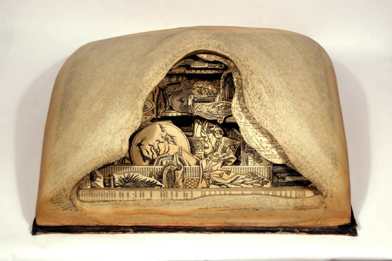 book-art-carving-sculpture-brian-dettmer-5