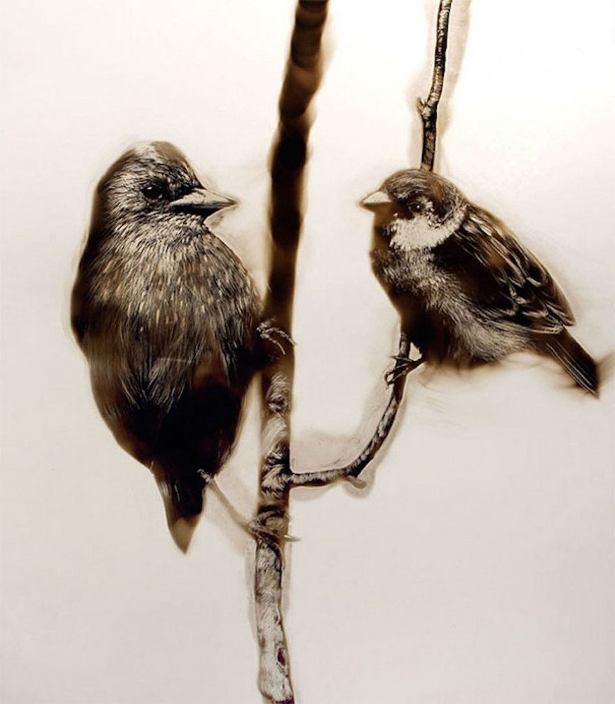 fire-paintings-soot-art-steve-spazuk-31
