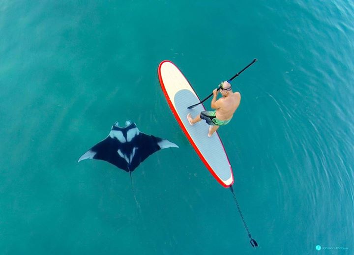 gopro paddle boarding