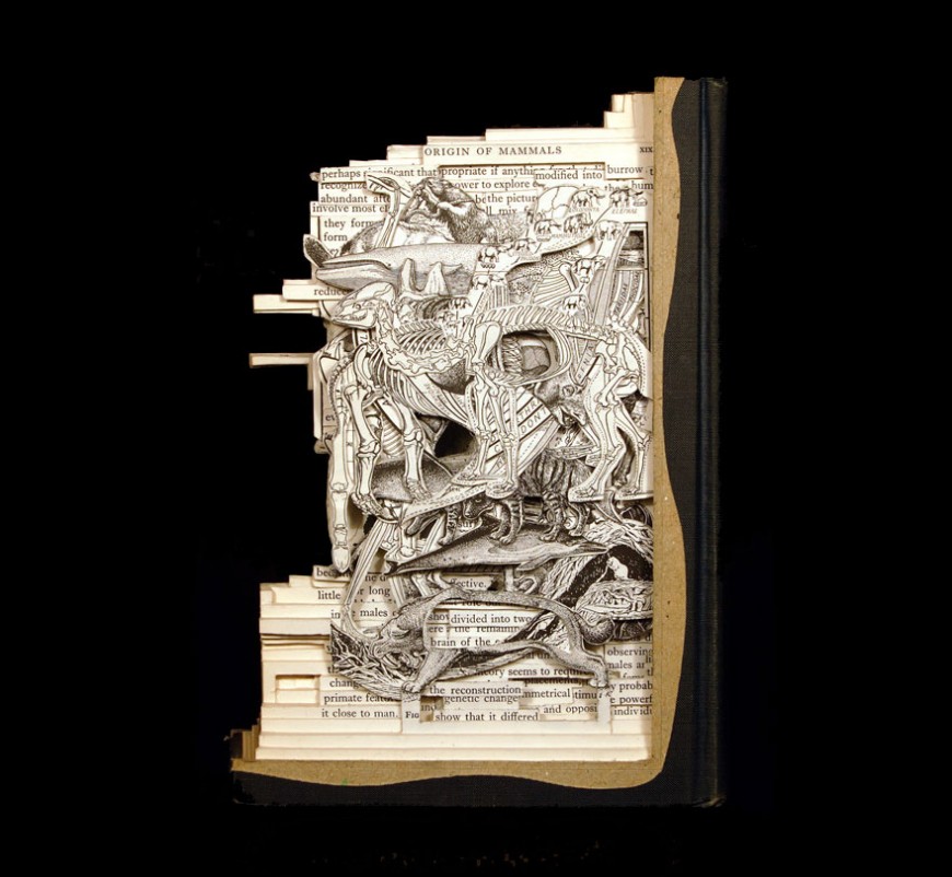 paper-sculpture-book-surgeon-brian-dettmer-28