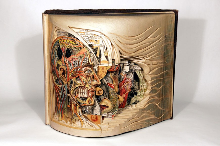 paper-sculpture-book-surgeon-brian-dettmer-4
