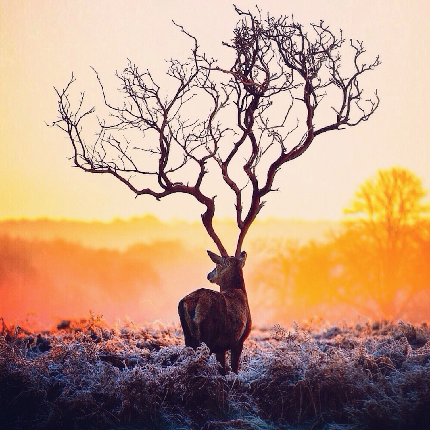 surreal-photography-inspiration-002