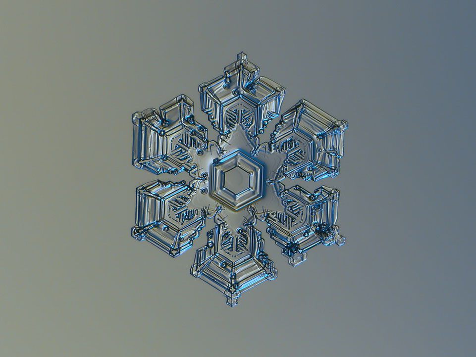 UCreative.com - Macro Snowflake Photography: Alexey Kljatov and His ...