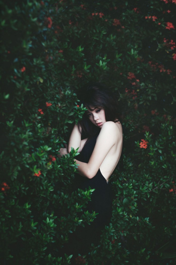 Succumb-by-Den-Montero