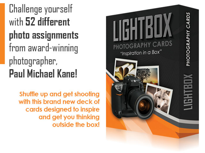 LightBox Photography Cards 01