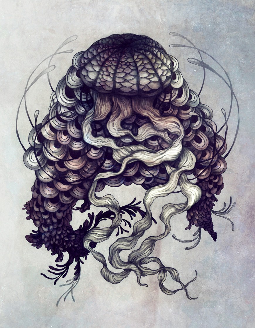 jellyfish