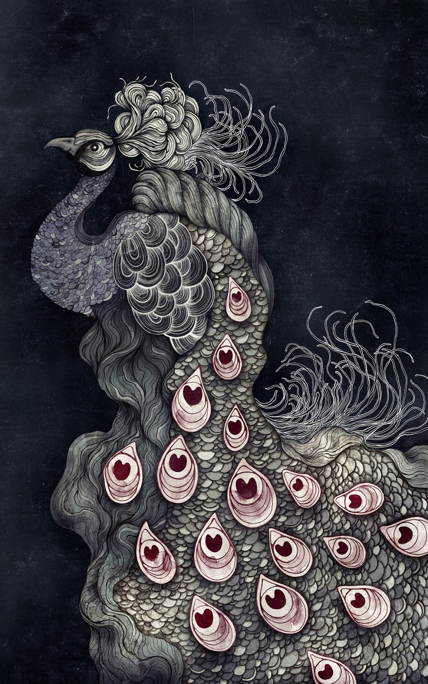 peacock