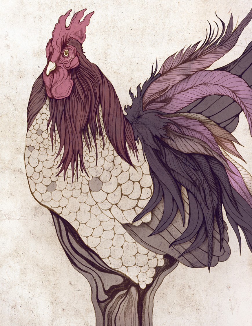 purple-rooster