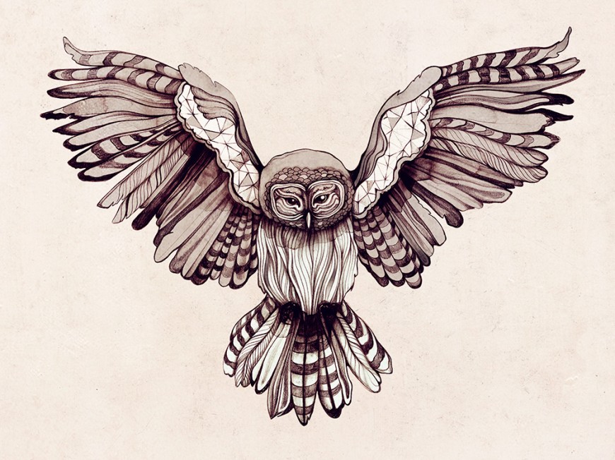 wingspan-owl