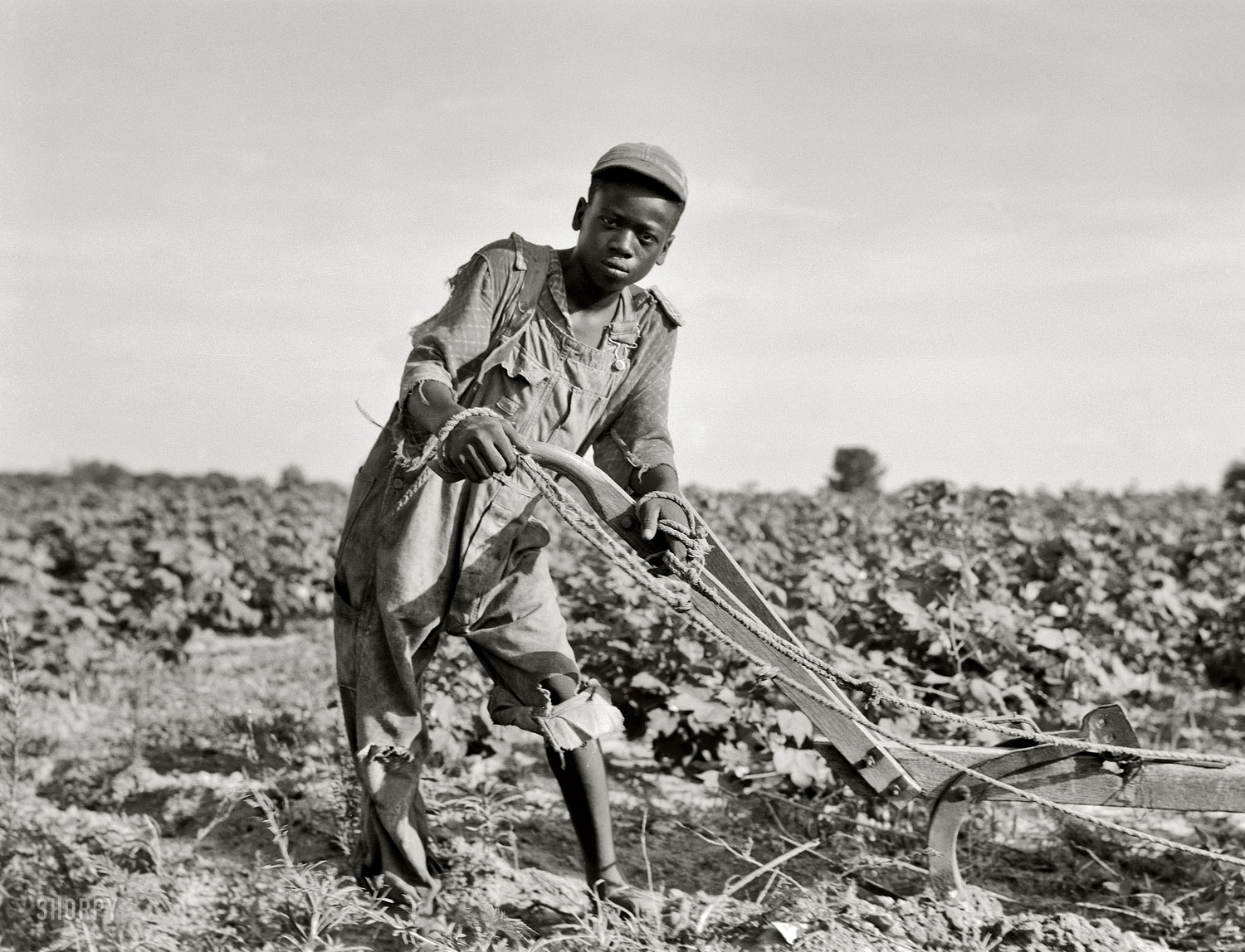 Dorothea-Lange-Tribute-Photography-009